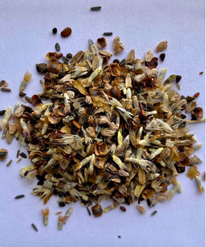 small pile wildflower seeds on a white tablecloth